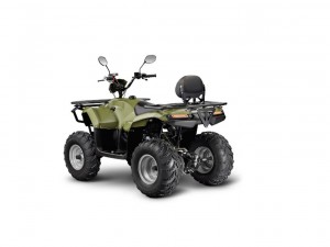 Квадроцикл IRBIS ATV 250 - фото 1