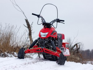 Снегоход IRBIS DINGO T200 2022, красный - фото 2