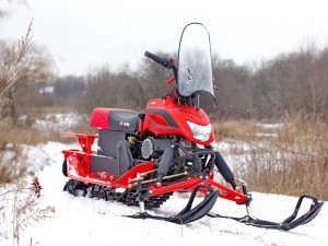 Снегоход IRBIS DINGO T200 2022, красный - фото 3