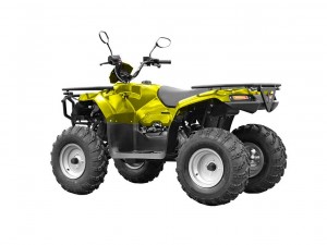Квадроцикл IRBIS ATV 200 желтый - фото 2