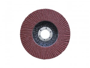 Лепестковый круг торцевой Snirrex 125х22 Р60 арт. 0401010002 - фото 2